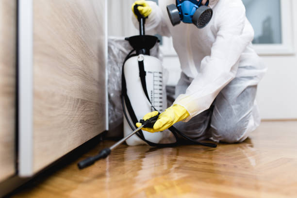Pest Prevention Services in Souderton, PA