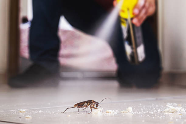 Best Affordable Pest Control Services  in Souderton, PA